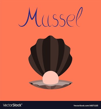 Flat on background mussel vector image