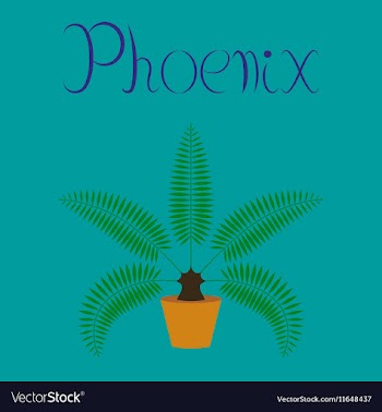 Flat on background natural phoenix vector image