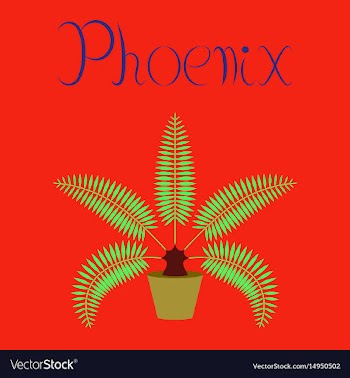 Flat on background natural phoenix vector image