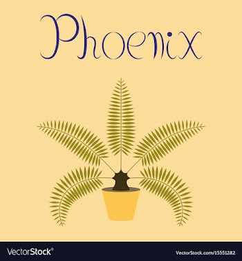 Flat on background natural phoenix vector image
