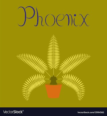 Flat on background natural phoenix vector image