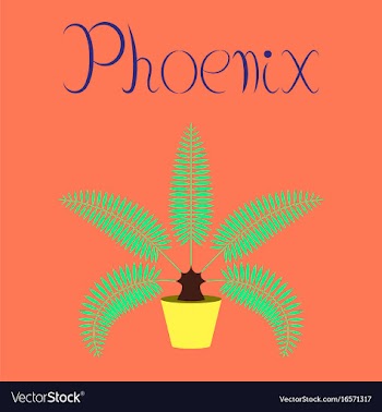 Flat on background natural phoenix vector image