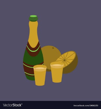Flat on background of champagne oranges vector image