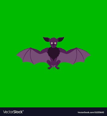 Flat on background of cute bat vector image