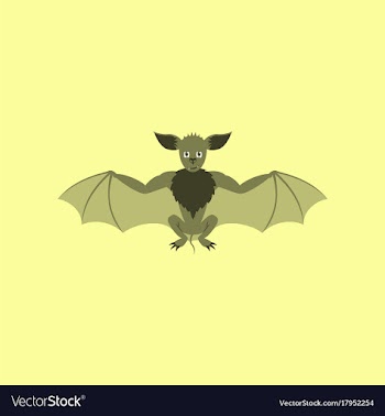 Flat on background of cute bat vector image