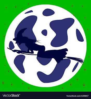Flat on background of Full Moon witch vector image