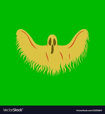 Flat on background of ghost vector image