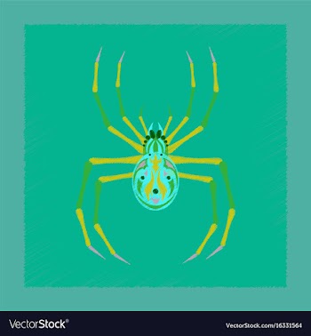 Flat on background of halloween spider vector image