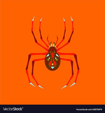 Flat on background of halloween spider vector image