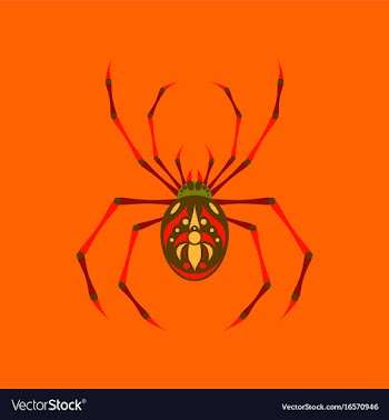 Flat on background of halloween spider vector image