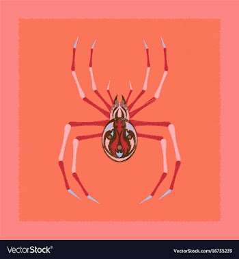 Flat on background of halloween spider vector image
