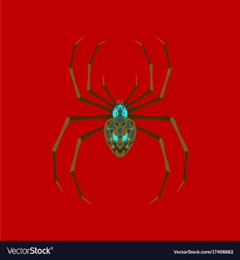 Flat on background of halloween spider vector image