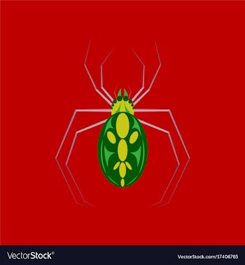 Flat on background of halloween spider vector image