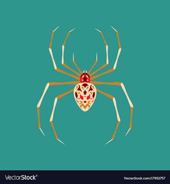 Flat on background of halloween spider vector image