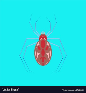 Flat on background of halloween spider vector image