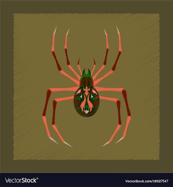 Flat on background of halloween spider vector image