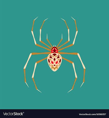Flat on background of halloween spider vector image