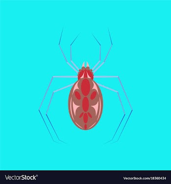 Flat on background of halloween spider vector image