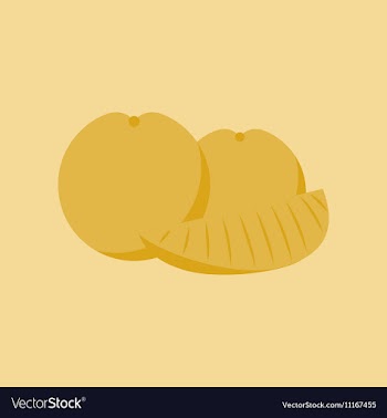 Flat on background of orange slice vector image
