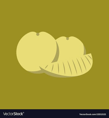 Flat on background of orange slice vector image