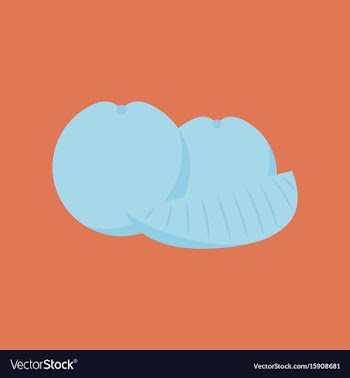 Flat on background of orange slice vector image