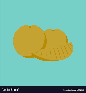Flat on background of orange slice vector image