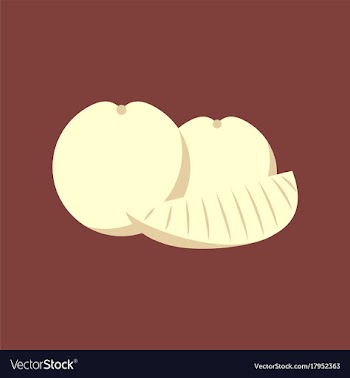 Flat on background of orange slice vector image