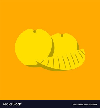 Flat on background of orange slice vector image