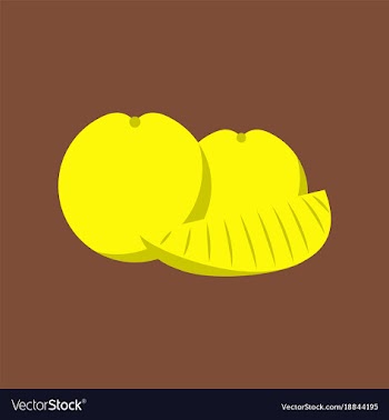 Flat on background of orange slice vector image