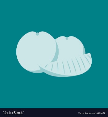 Flat on background of orange slice vector image