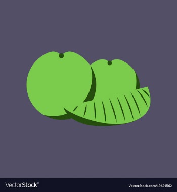 Flat on background of orange slice vector image