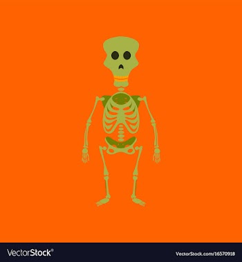 Flat on background of skeleton halloween monster vector image