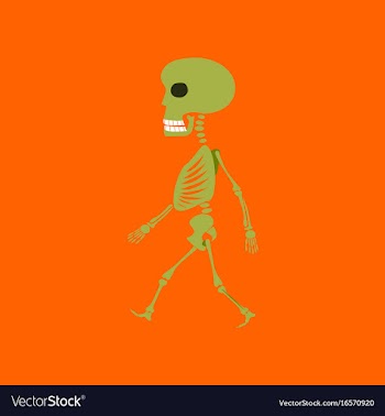 Flat on background of skeleton halloween monster vector image