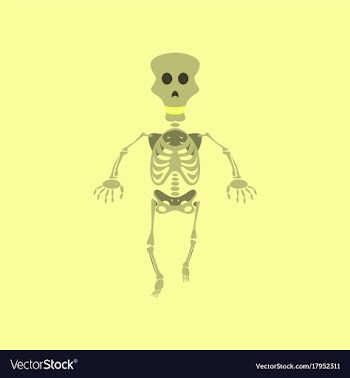 Flat on background of skeleton halloween monster vector image