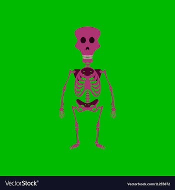 Flat on background of skeleton vector image