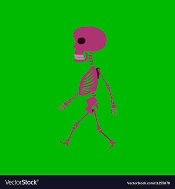 Flat on background of skeleton vector image