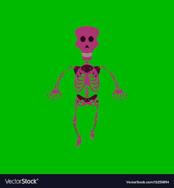 Flat on background of skeleton vector image