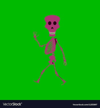 Flat on background of skeleton vector image
