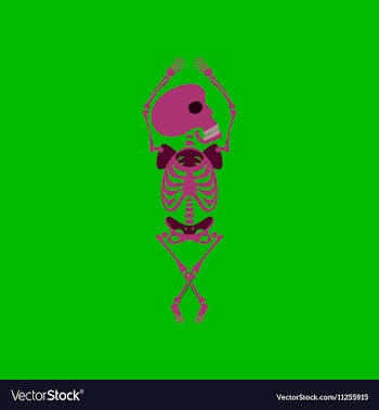 Flat on background of skeleton vector image