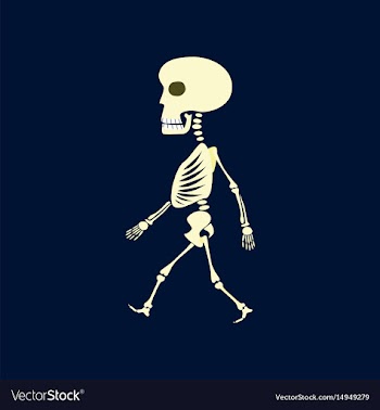 Flat on background of skeleton vector image
