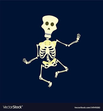 Flat on background of skeleton vector image