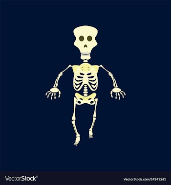 Flat on background of skeleton vector image