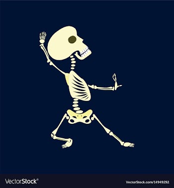 Flat on background of skeleton vector image