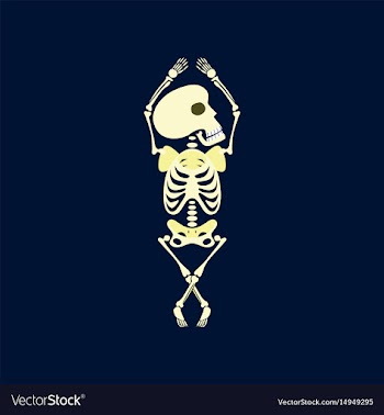 Flat on background of skeleton vector image