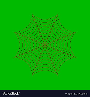 Flat on background of spider web vector image