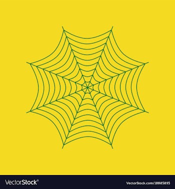 Flat on background of spider web vector image
