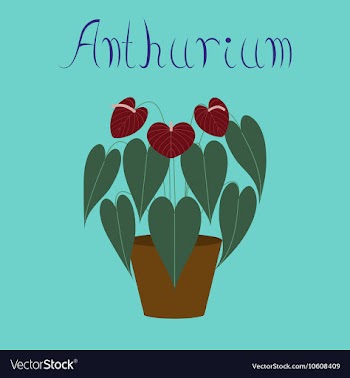 Flat on background plant Anthurium vector image
