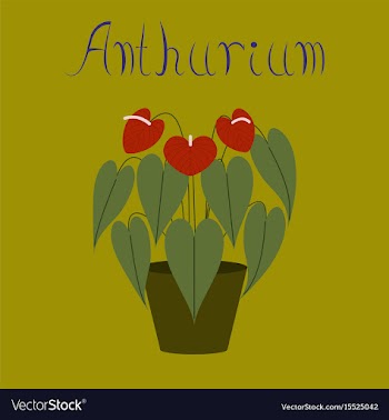 Flat on background plant anthurium vector image