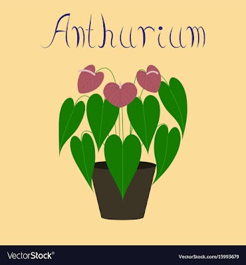Flat on background plant anthurium vector image