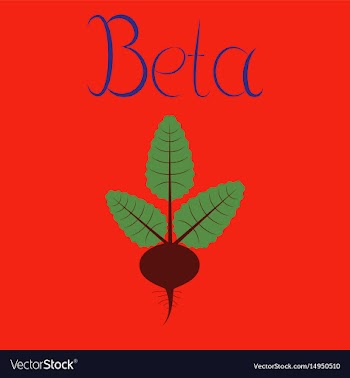 Flat on background plant beta vector image